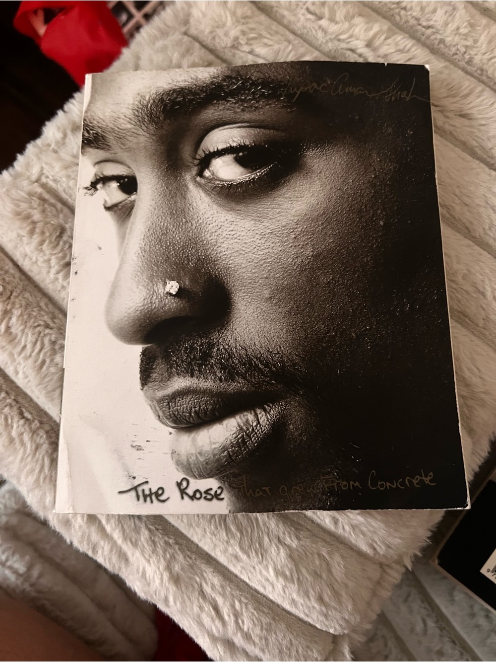 Tupac Shakur : the rose that grew from concrete